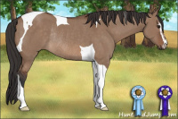 Horse Color:Bay Dun Sabino Tobiano Rabicano