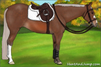 Horse Color:Silver Bay