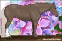 Horse Color:Silver Black 