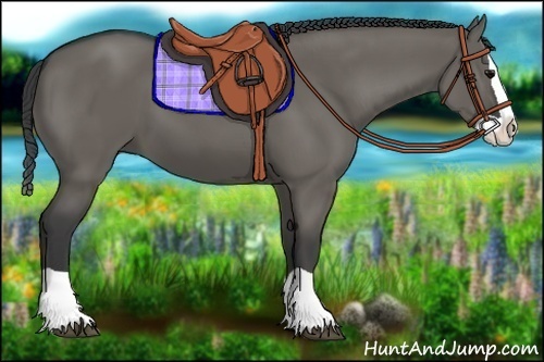Horse Color: Grullo Splash 