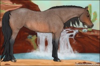 Horse Color:Bay Roan 