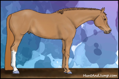 Horse Color: Chestnut 