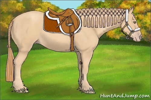 Horse Color:Gold Champagne 