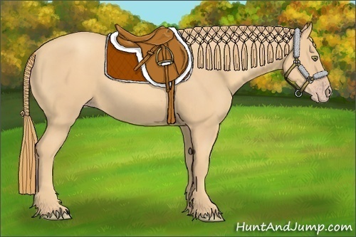 Horse Color:Gold Champagne