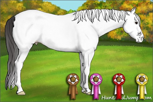 Horse Color: White Spotted Smoky Black 
