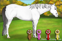 Horse Color:White Spotted Smoky Black 