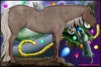 Horse Color:Silver Blue Roan 