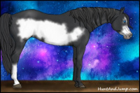 Horse Color:Black Frame