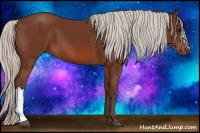 Horse Color:Silver Bay 