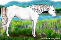 Horse Color:Gray Red Dun Splash Tobiano 