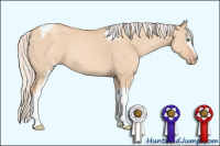 Horse Color:White Spotted Silver Classic Champagne Dun Tobiano 