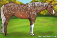 Horse Color:Silver Bay Ice