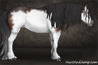 Horse Color:Bay Splash Frame 