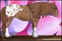 Horse Color:Chestnut Blanket 