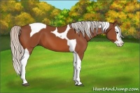 Horse Color:Silver Bay Splash Tobiano 
