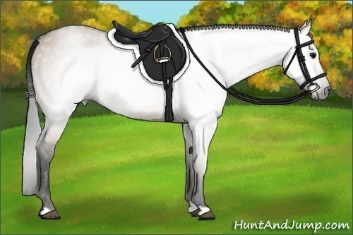 Horse Color:Gray Brown Dun 