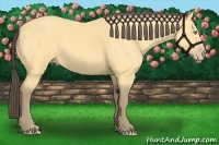 Horse Color:Amber Cream Champagne 