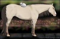 Horse Color:Classic Champagne Dun Splash 