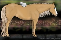 Horse Color:Palomino Splash 