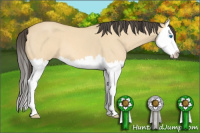 Horse Color:Buckskin Roan Dun Splash 