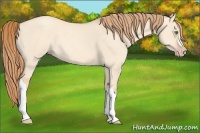 Horse Color:Gold Champagne Dun 
