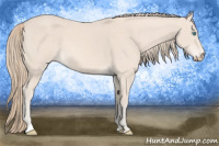 Horse Color:Perlino 