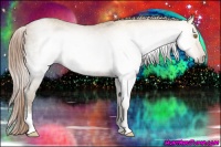 Horse Color:Gray White Spotted Gold Champagne Ice