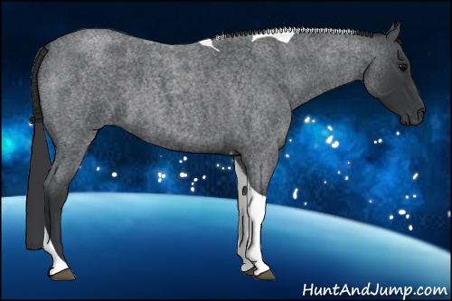 Horse Color: Blue Roan Tobiano 