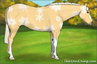 Horse Color:Palomino Ice 