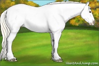 Horse Color:Palomino Sabino Splash Blanket 