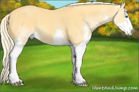 Horse Color:Palomino Sabino Splash 