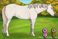 Horse Color:Smoky Creme Roan Dun 
