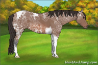 Horse Color:Bay Ice Tobiano 