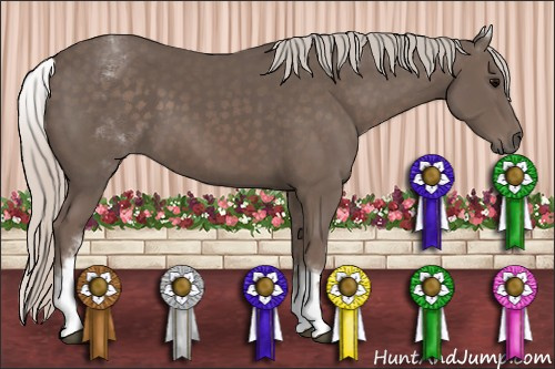 Horse Color: White Spotted Silver Black 