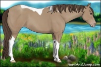 Horse Color:Classic Champagne Tobiano 