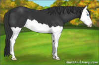 Horse Color:Brown Splash 