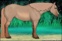 Horse Color:Red Dun
