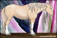 Horse Color:Chocolate Palomino Pearl 