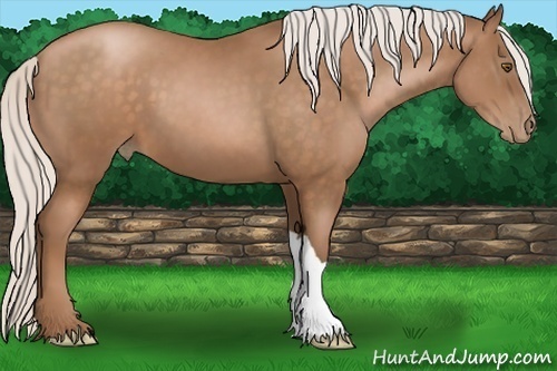 Horse Color: Silver Brown Pearl 