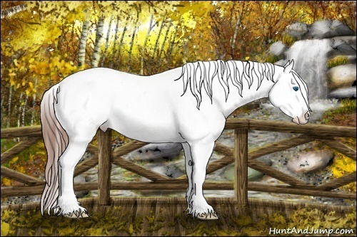 Horse Color: Sable Champagne Splash Tobiano Blanket 