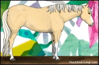 Horse Color:Palomino