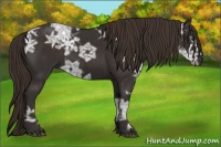 Horse Color:Liver Chestnut Ice 