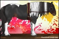 Horse Color:Liver Chestnut Tobiano 