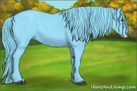 Horse Color:Watercolor Smoky Black Frame 