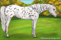 Horse Color:Silver Black Blanket 