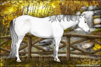 Horse Color:Gray Brown Dun Sabino Tobiano 
