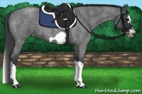 Horse Color:Blue Roan Splash Frame 