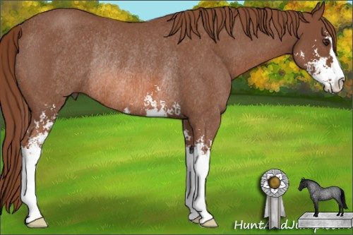 Horse Color: Liver Red Roan Sabino Rabicano 
