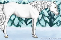 Horse Color:Gray Gold Champagne Splash Tobiano 