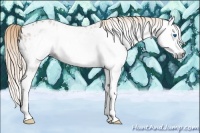 Horse Color:Gray Chestnut Splash Frame Near Leopard Rabicano 